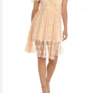 French Connection Beautiful Lace Dress * New